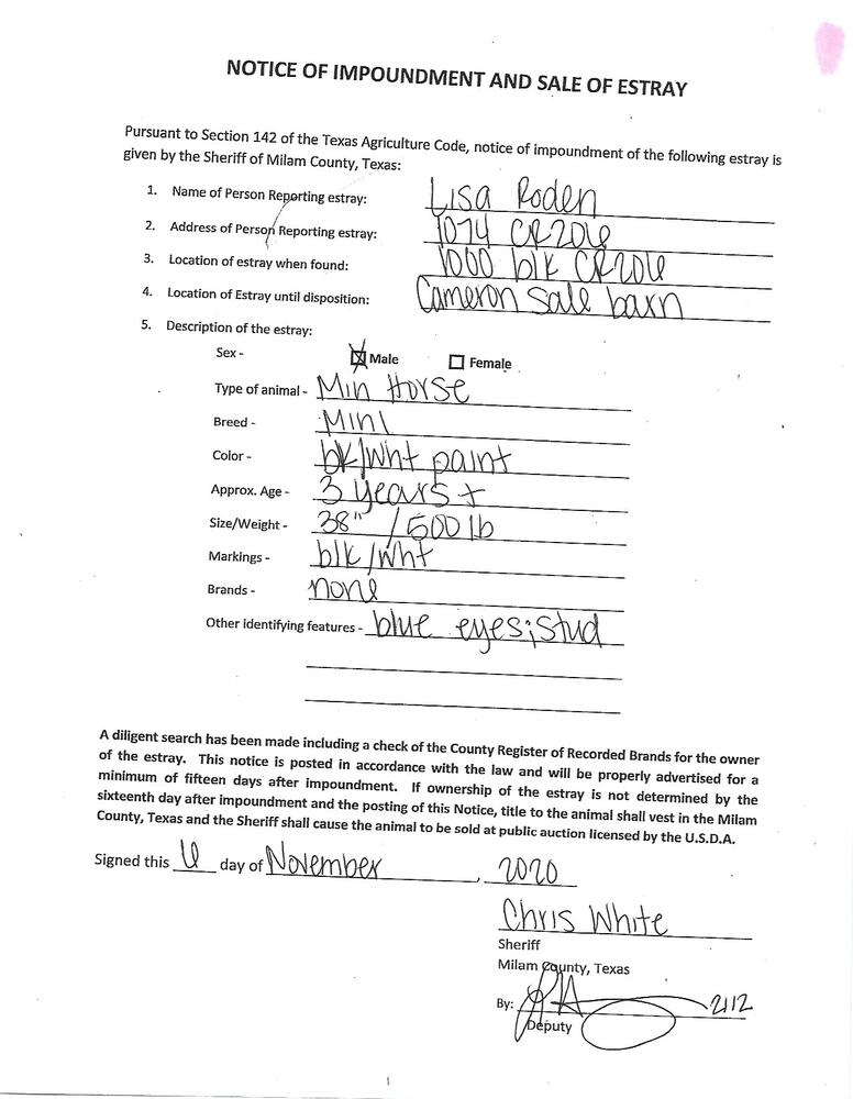 Filled out Estray Form Describing a Miniature Horse found on County Road 206 on November 6, 2020.jpg