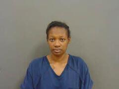Mugshot of SHIELDS, BRITTANY  