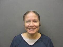 Mugshot of JOHNSON, TERRI