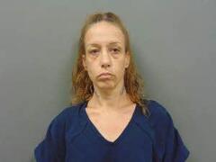 Mugshot of WILLIS, SHERI